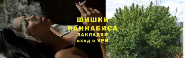 метадон Кодинск