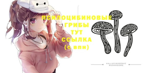 стафф Корсаков
