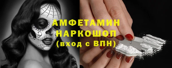 стафф Корсаков